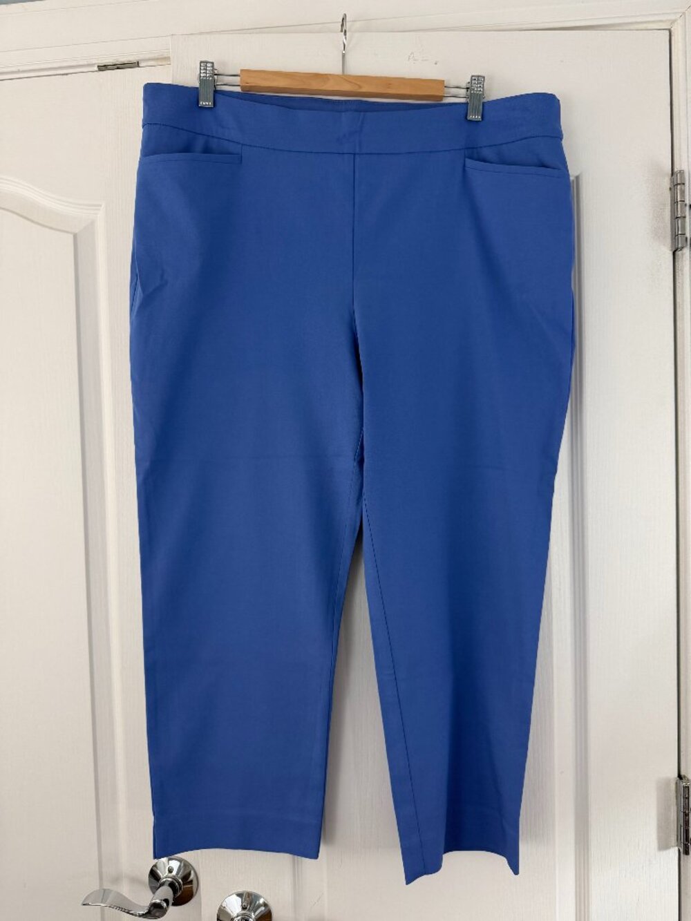 Chicos Pants Size 3 (16) Blue 3051